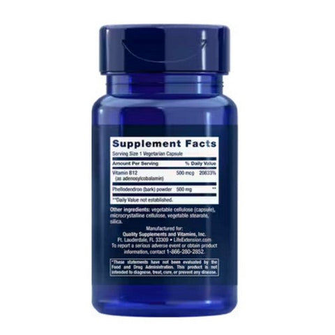 Life Extension, Dopamine Advantage, 30 Veg Caps Life Extension