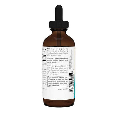 Source Naturals, Wellness Elderberry Liquid Extract, 4 oz Source Naturals