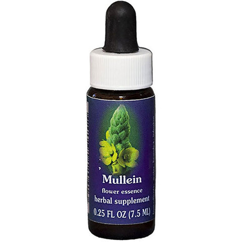 Flower Essence Services, Mullein Dropper, 0.25 oz Flower Essence Services