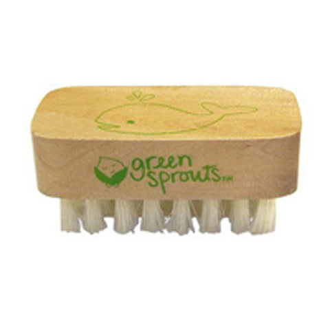Green Sprouts, Nail Brush, ct Green Sprouts